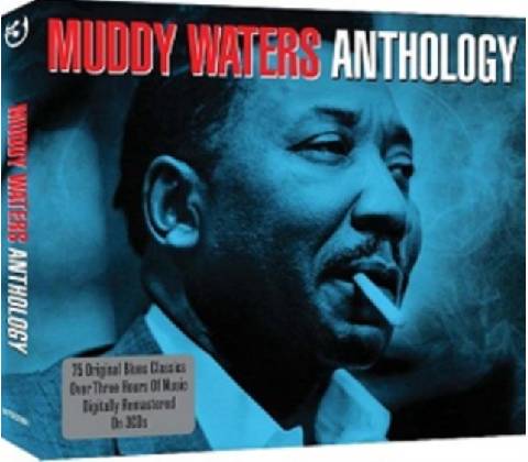 WATERS MUDDY: ANTHOLOGY CD