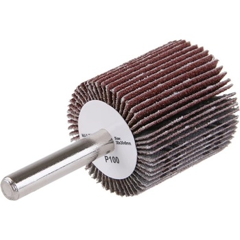 Levior Kotouč lamelový brusný 30 x 30 x 6 mm P100 21858