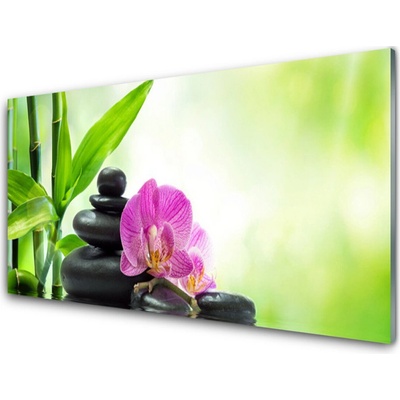 akrylový obraz Bambus Kameny Zen Umění 100x50 cm