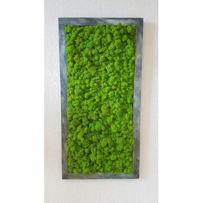 Machový obraz v patinovanom ráme 80 cm x 30 cm