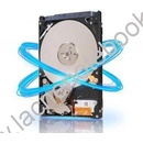 Seagate Momentus SpinPoint M8 1TB, ST1000LM024