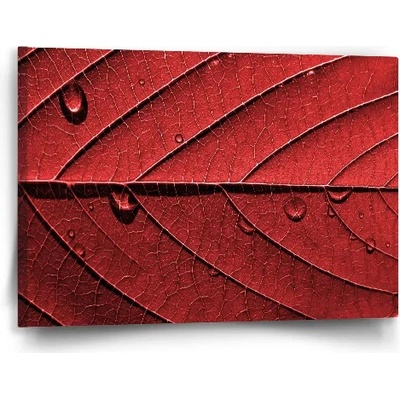 Sablio Obraz Červený list - 60x40 cm