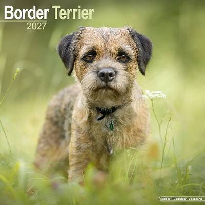 AVONSIDE Border teriér, 30 x 30 cm 2027