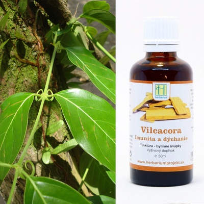 Vilcacora Uña de Gato tinktúra 50 ml