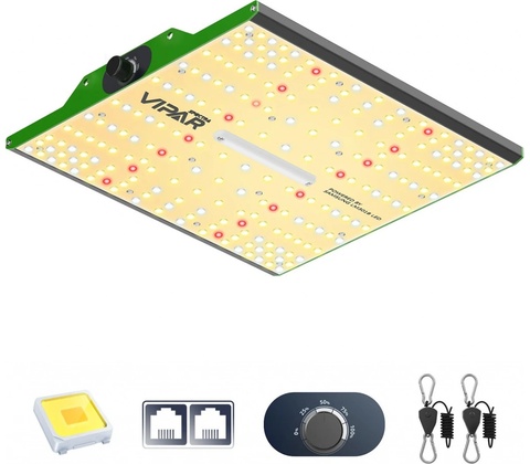 Viparspectra P1000