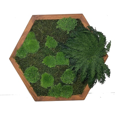 Hexagon Machový Obraz s Ruža Jericha