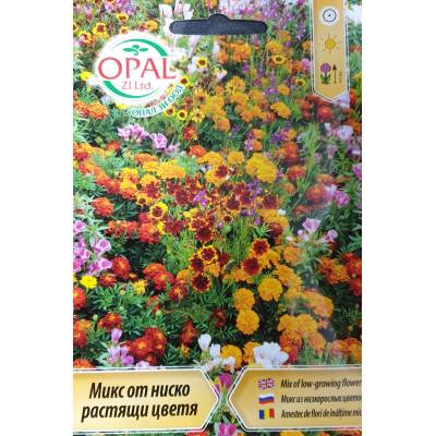 Opal Zi Микс от ниско растящи цветя