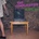 THE COMPLICATION - ASPINING CHILD CD