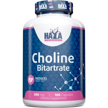 Haya Labs Choline Bitartrate, 500 mg, 100 капсули, Haya Labs (15663)