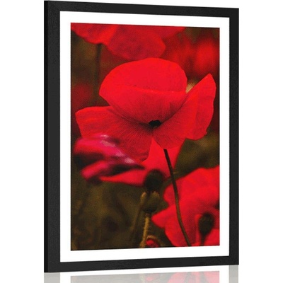 Plakát s paspartou pole divokých máků - 40x60 black