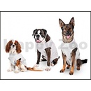 KARLIE Obleček ochranný pooperační 32 cm