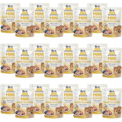 Brit Care Mini malých plemen mix 5 příchutí 20x85 g