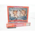 Castorland Spiace kittens *1000*