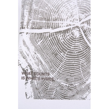 BOSS Orange Памучна тениска BOSS Orange Te_Citylights (50556032)