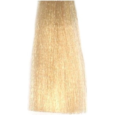 Bes Hi-Fi Hair Color 10-1 platinová blond popolavá