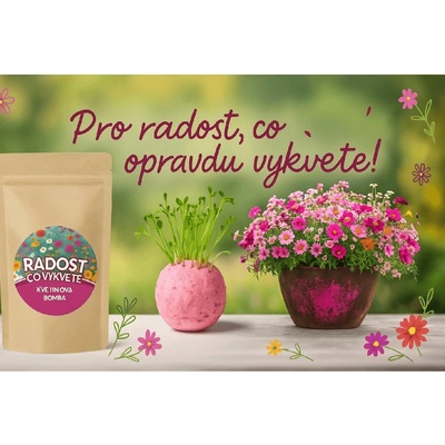 Naklíčeno Pro radost - květinová bomba