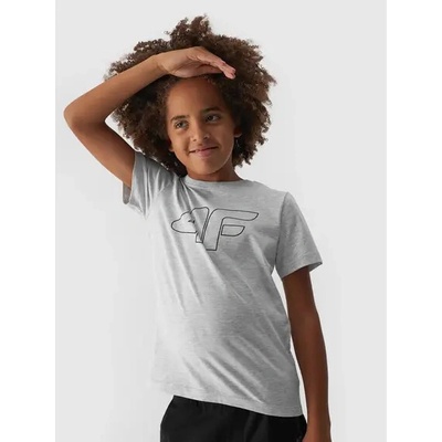 4F T-shirt M1627 šedý