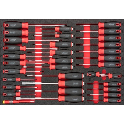 VIGOR V6813