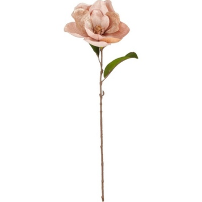 Umělá květina magnólie výška 76 cm Gasper - champagne