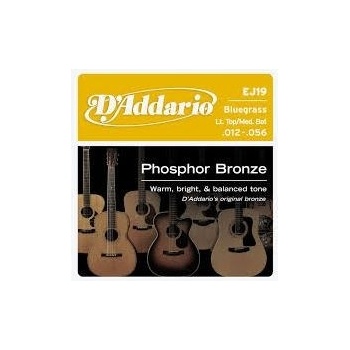 DAddario EJ19