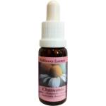 PHI Essences Намалява раздразнителността и напрежението - Есенция Лайка № 27, капки 15 ml (27 WILD)