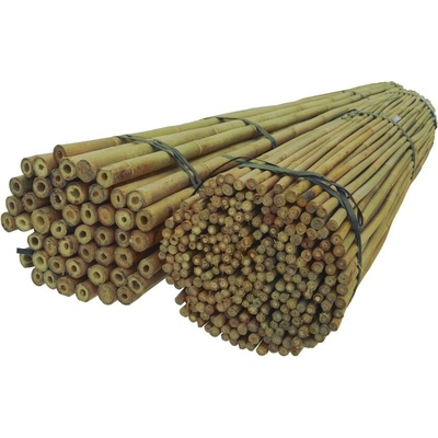 Bambusová tyč Dixiestore 75 cm x 8 mm 25 ks