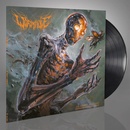 WORMHOLE - ALMOST HUMAN LP