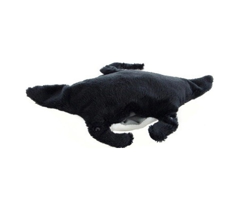 Manta