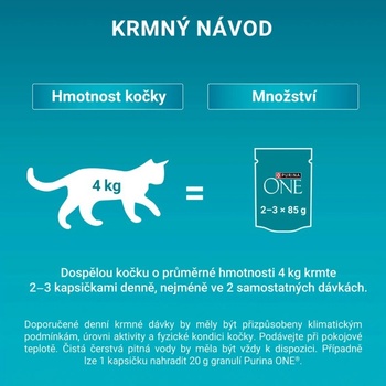 Purina One Adult jahňací morské ryby kura hovädzí v šťave 40 x 85 g