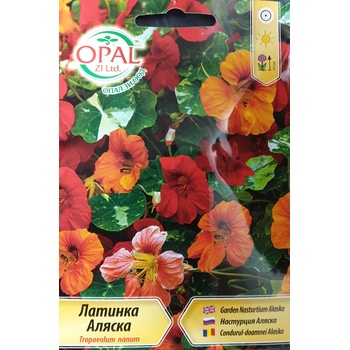 Opal Zi Латинка ниска Аляска