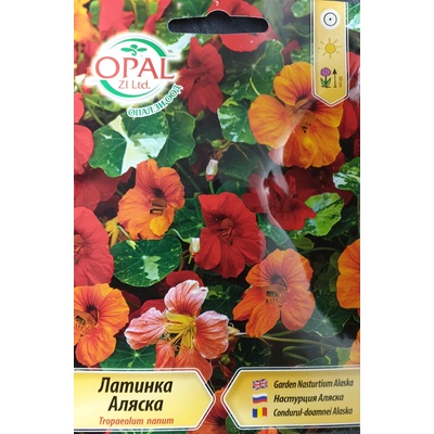 Opal Zi Латинка ниска Аляска