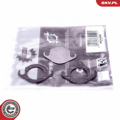 Súprava na opravu, ventil AGR ESEN SKV 14SKV506 14SKV506
