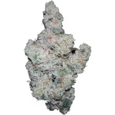 Growers Choice Superboof semena neobsahují THC 5 ks