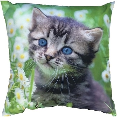 Dadka Foto vankúš Kotě na louce 40x40