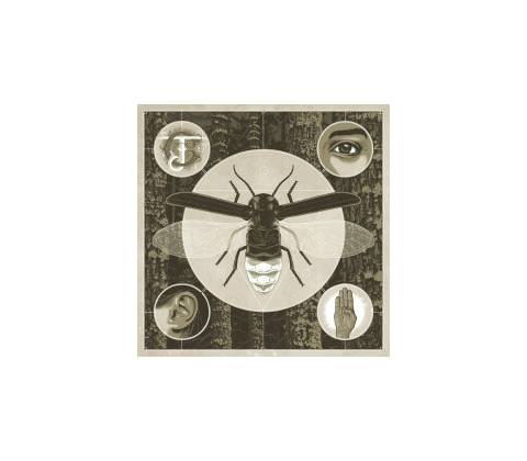CANTRELL, JERRY - BRIGHTEN CD