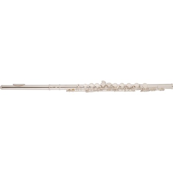 Bacio Instruments BFL-100S