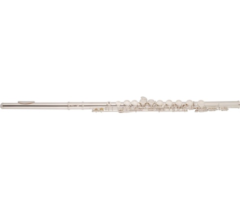 Bacio Instruments BFL-100S