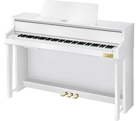Casio GP-310
