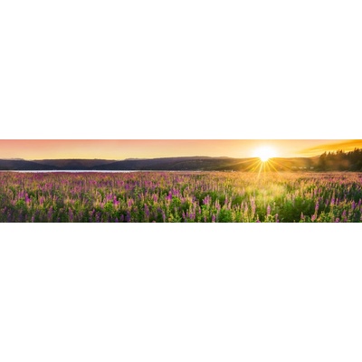 Dimex KI260-145 Fototapeta do kuchyně Sunset over the Meadow rozměry 260 x 60 cm