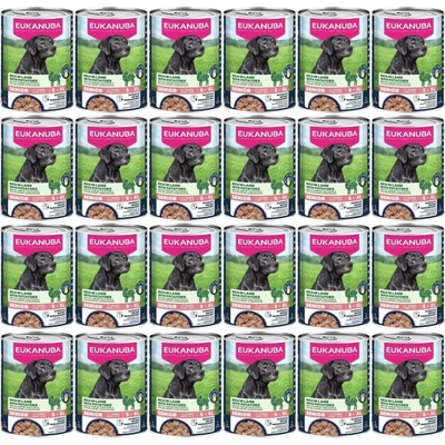 Eukanuba Senior Rich in Lamb with Potatoes 24 x 400 g