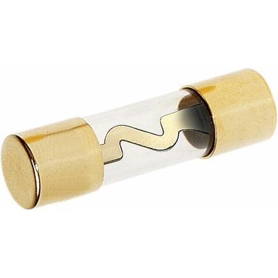 AGU pojistka zlatá 60A