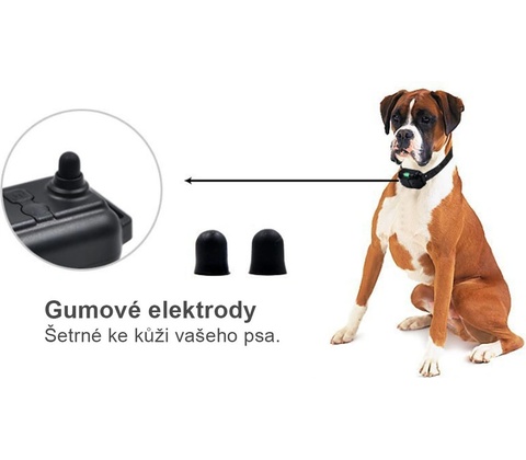 Bentech Elektronický výcvikový obojok D776