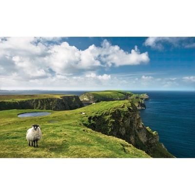 Komar Vliesová fototapeta Green Ireland 450 x 280 cm