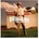 Fratellis - Here We Stand CD