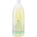 Spa Master šampon pro každodenní použití 250 ml