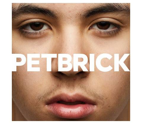 PETBRICK - I LP