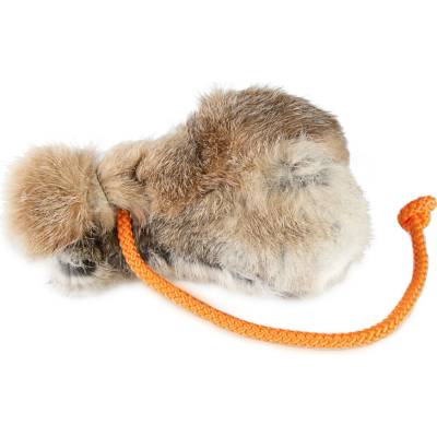 Firedog Dummyball velký 300 g