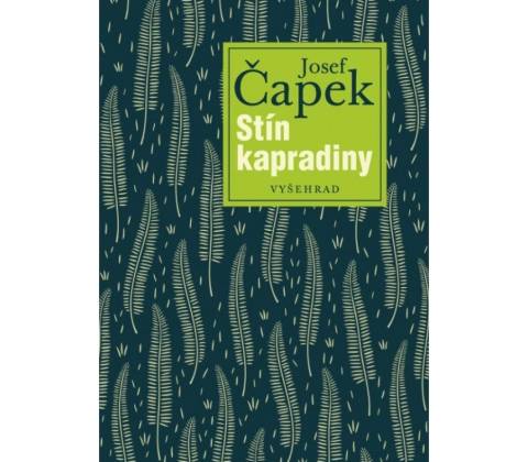 Stín kapradiny