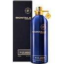 Montale Paris Montale Blue Amber parfémovaná voda unisex 100 ml