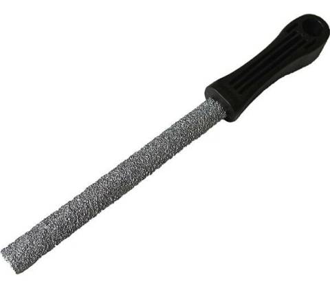 Bat 02691